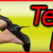 Telefonsex Top200